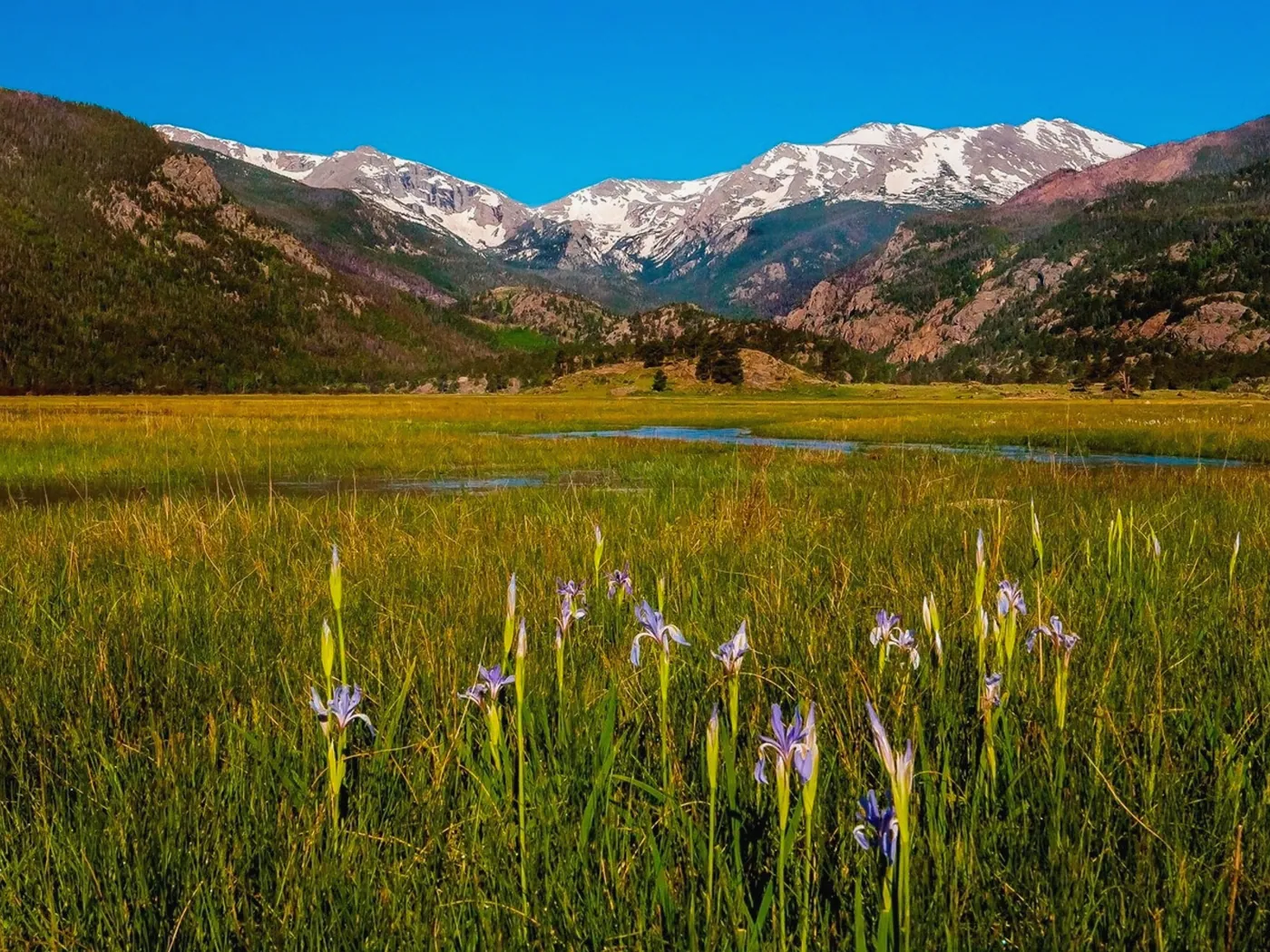 Mountain Acreage in Eagle